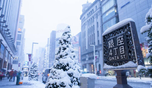 関東23区でも大雪のおそれ「外出は細心の注意を」