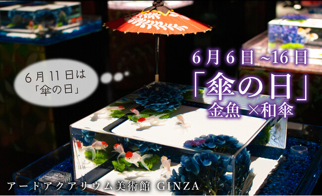 6月11日は「傘の日」 アートアクアリウム美術館 GINZAでは、和傘と紫陽花のコラボレーションで梅雨を艶やかに演出！