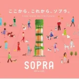 【ペットサロンSOPRA】が銀座エリア最大規模の旗艦店を12月10日にオープン