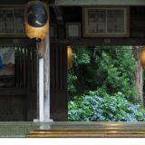 【ノエビア銀座ギャラリー】岩合光昭写真展 「Where’s Cats-日本ねこさがし」開催