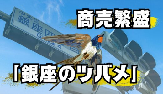 【銀座のツバメ】商売繁盛の使者は大都会の軒下で宿る希望の翼だった！