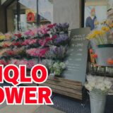 【UNIQLO Flower 銀座で発見！！】ユニクロがやってる花屋さんで花束を注文してみた