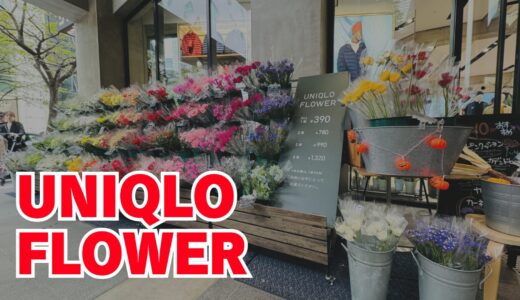 下のソーシャルリンクからフォロー