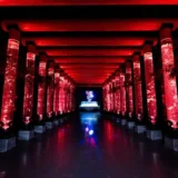 銀座で初夏を味わう、ランチと金魚アートの体験型コラボプランが登場