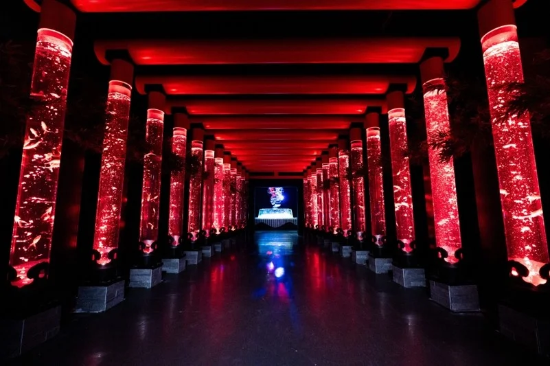 銀座で初夏を味わう、ランチと金魚アートの体験型コラボプランが登場