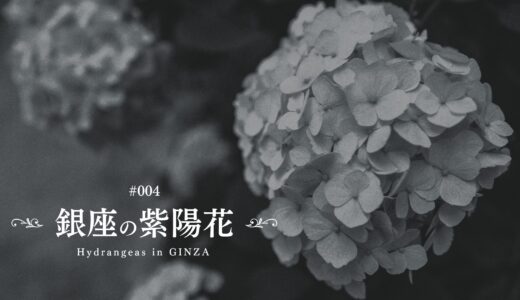 下のソーシャルリンクからフォロー